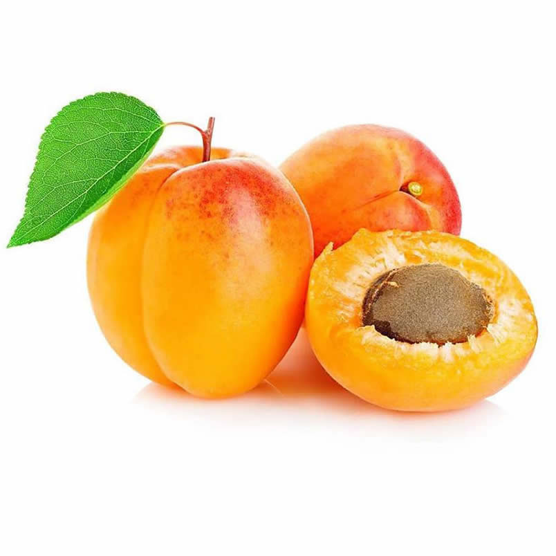 Aprikose