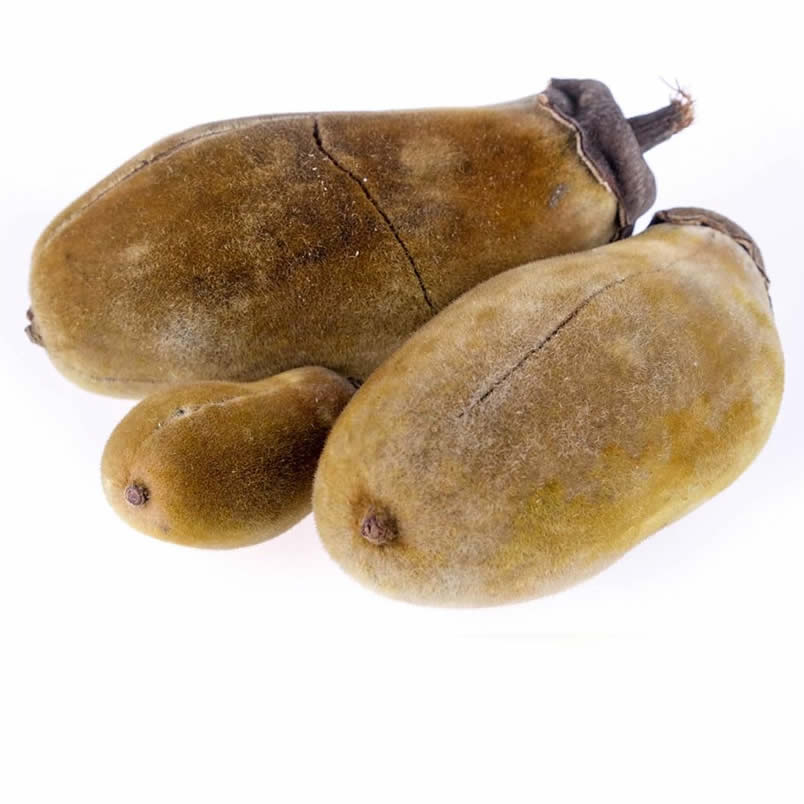 Baobab